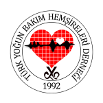 Türk Hem